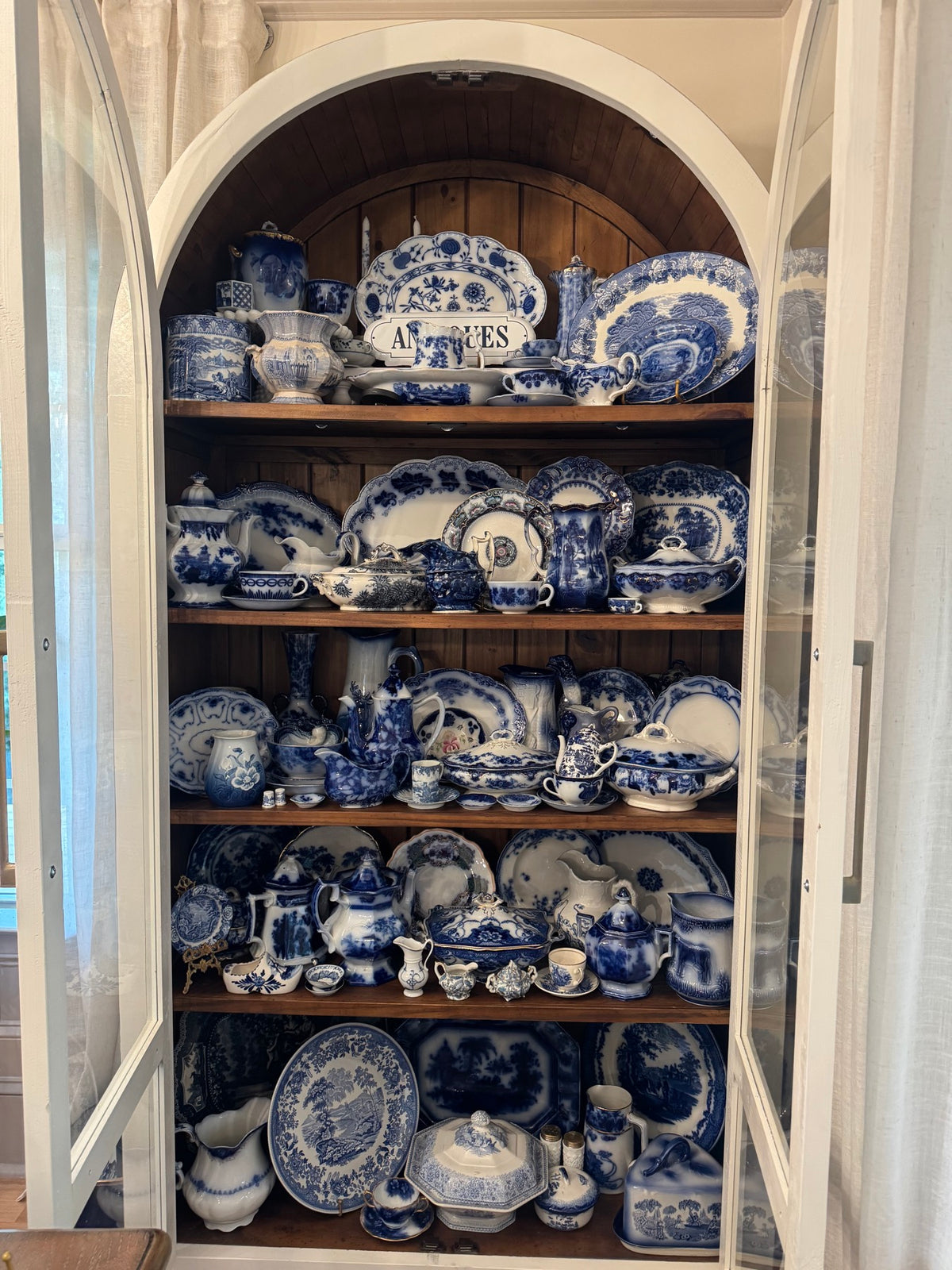 Rachel's blue and white collection